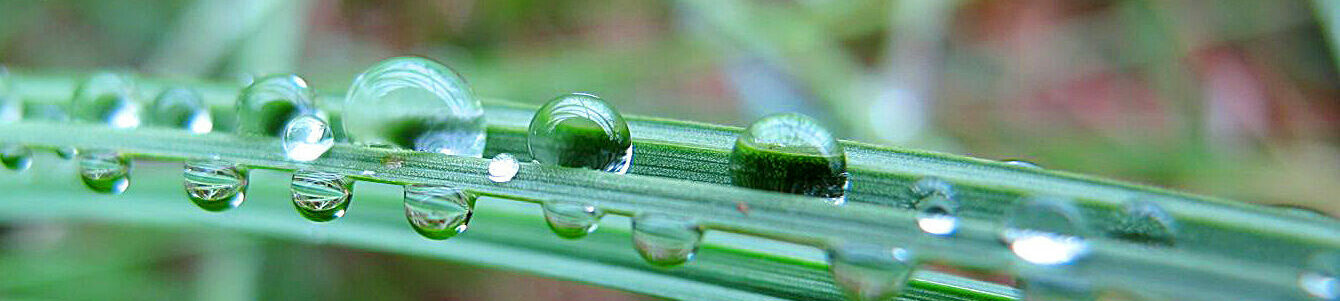 Regen- und Grauwassernutzung